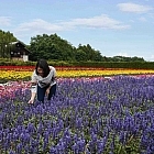 Club Med Tomamu Hokkaido – Experience Summer Escape Like Never Before