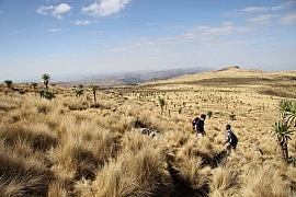 Best Activities To Do When On Vacation In Ethiopia