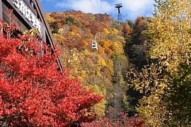 SHORYUDO Bus Pass Part 1 – Inuyama, Takayama & Shin Hodaka
