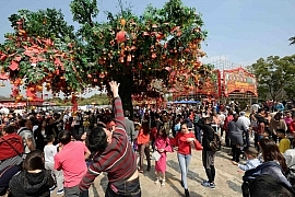 4 Days Hong Kong Chinese New Year 2019 Festive Getaway Guide