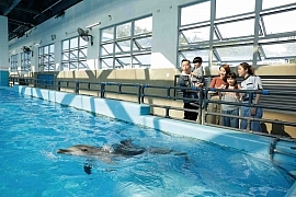 Hong Kong Ocean Park Marriott Hotel Opening & Animal Discovery Fest