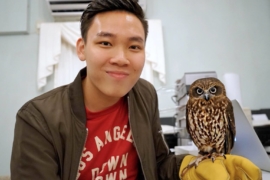 Akiba Fukurou Owl Cafe Tokyo – Get Up Close With Adorable Owls