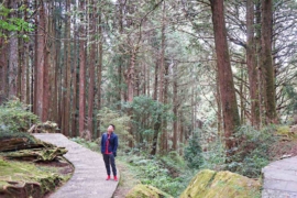 Taichung, Chiayi & Alishan Itinerary – Taiwan Highland & Cities Adventures
