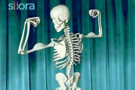 What Are The Different Ways To Optimize Bone Health?