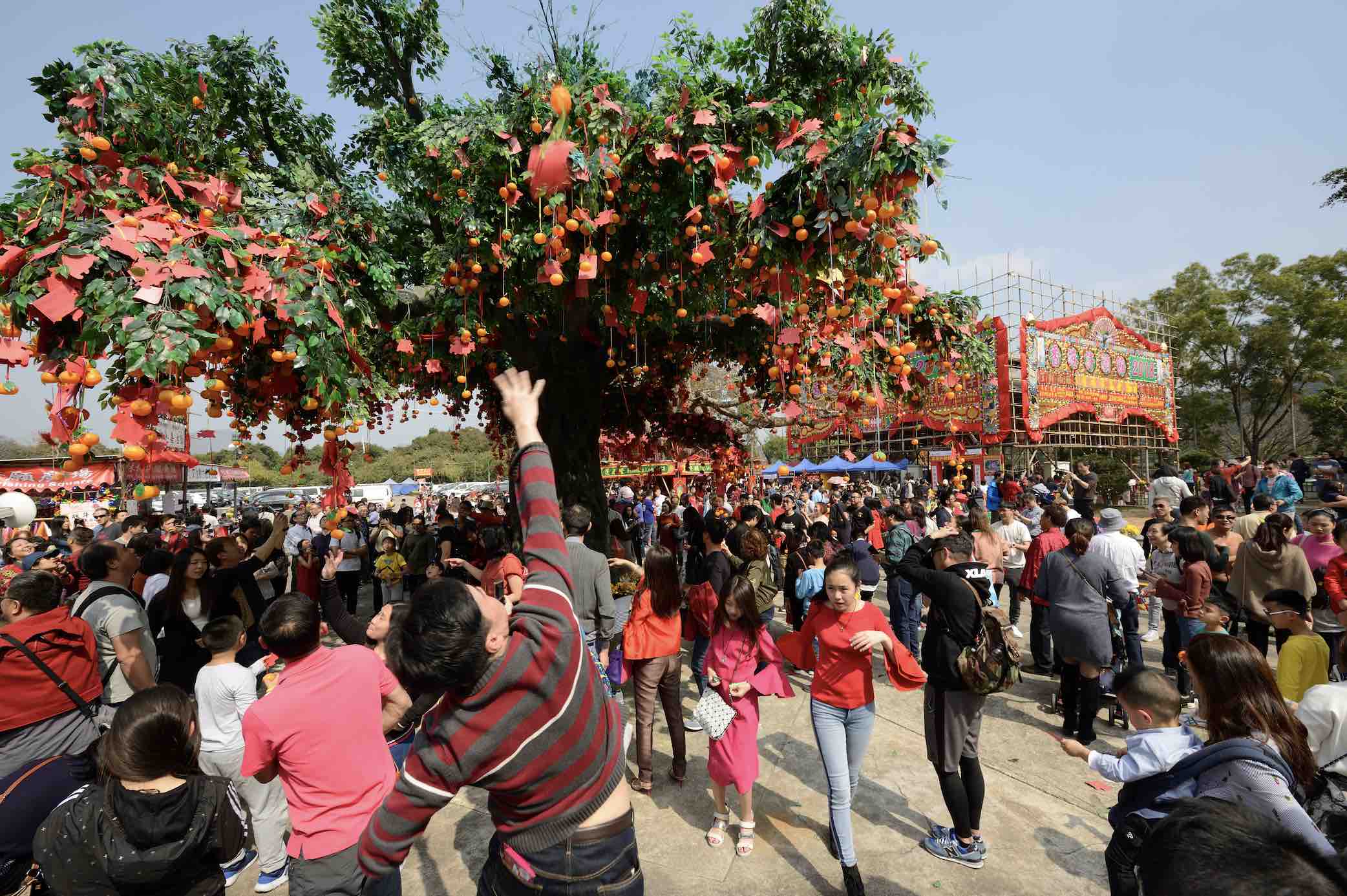 Hop On To Hong Kong Luckiest Spots In The Year Of The Rabbit
