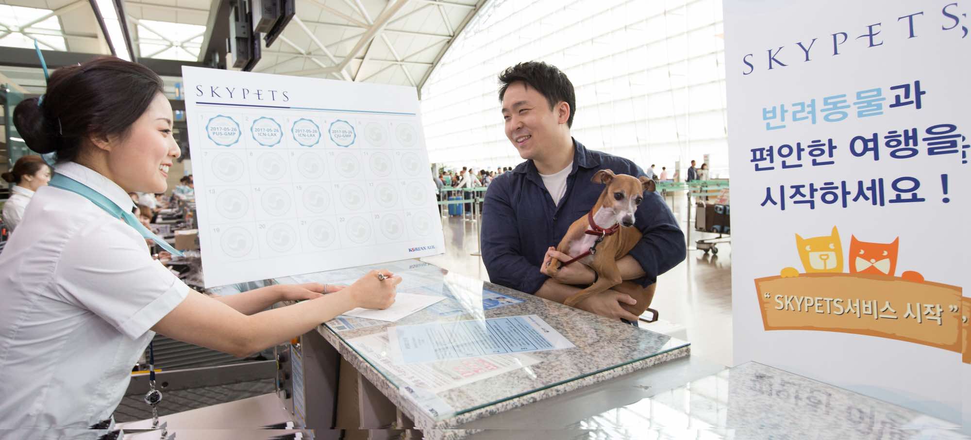 Travel With Furry & Feathered Pets On Korean Air SKYPETS Now