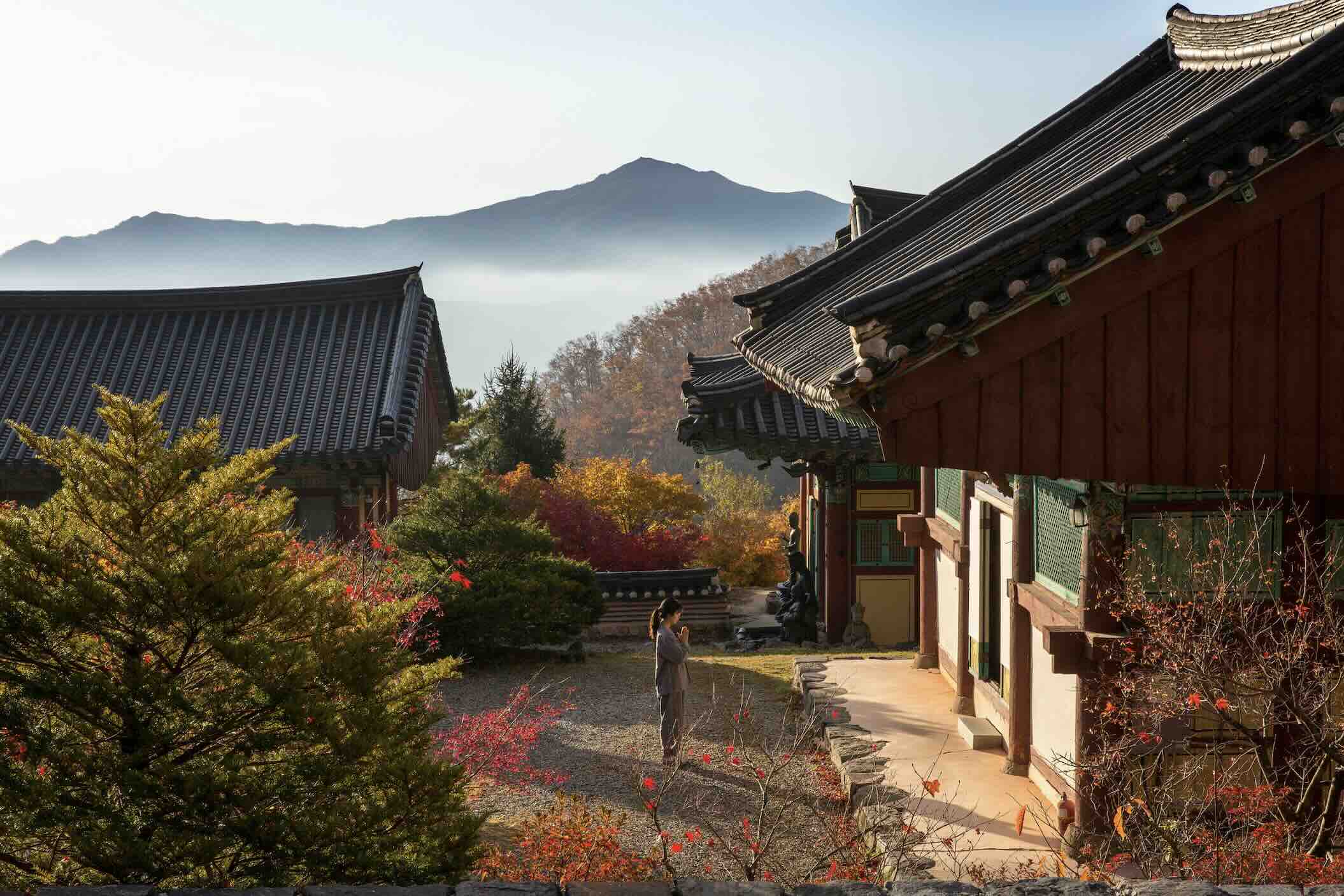Korea Templestay: Essence Of 1,700 Year-old Buddhist Tradition