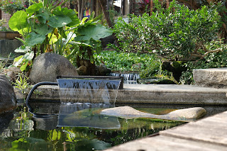 The Value of Water Features : A Simple Way to Boost Your Home’s Appeal