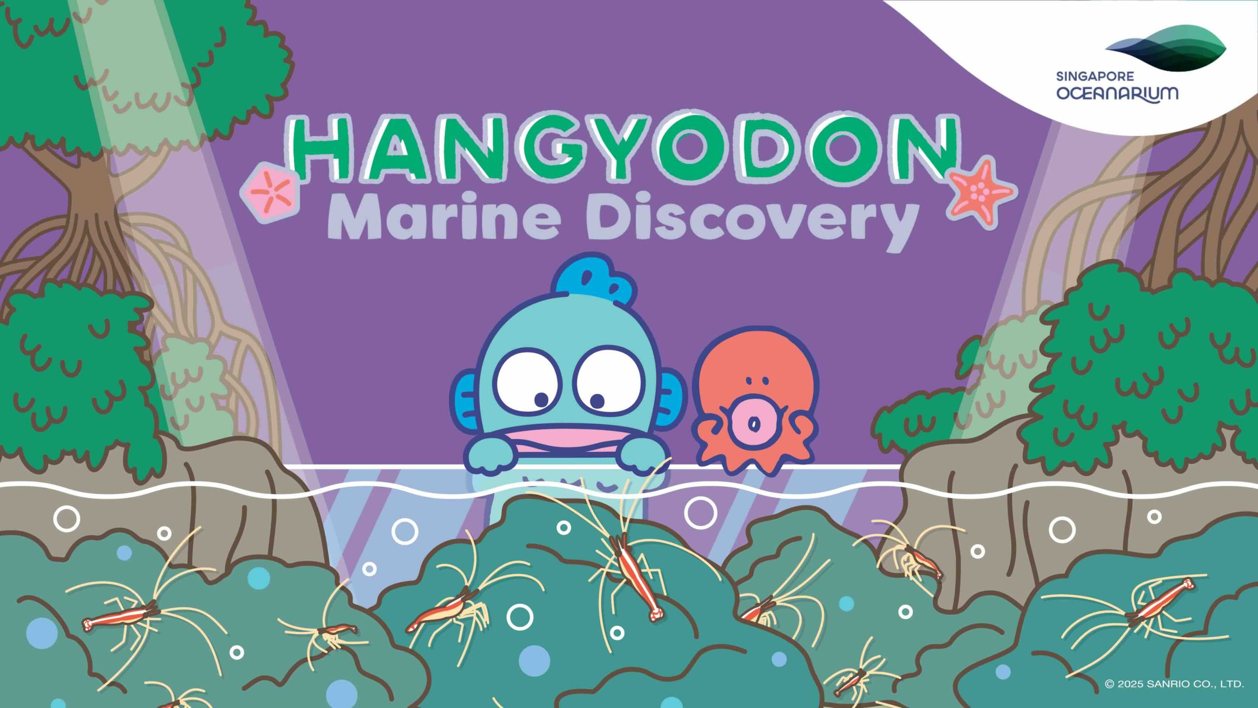 Dive Into Hangyodon Marine Discovery At Singapore Oceanarium